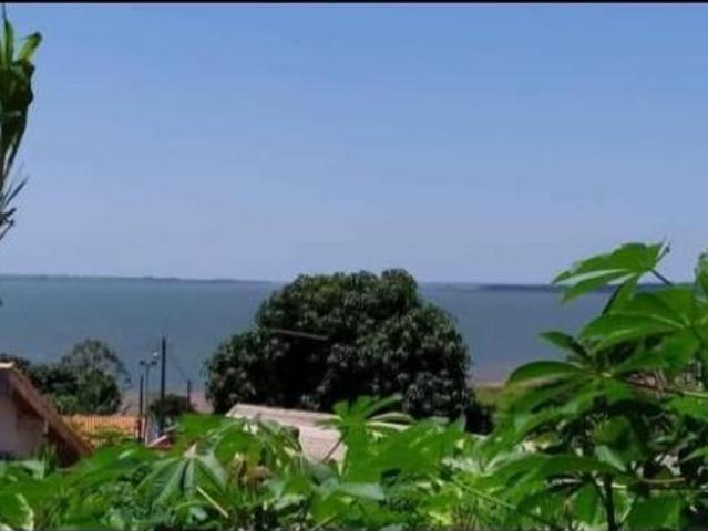Sítio e chácara venda em Região Geográfica Imediata de Londrina, Alvorada do Sul