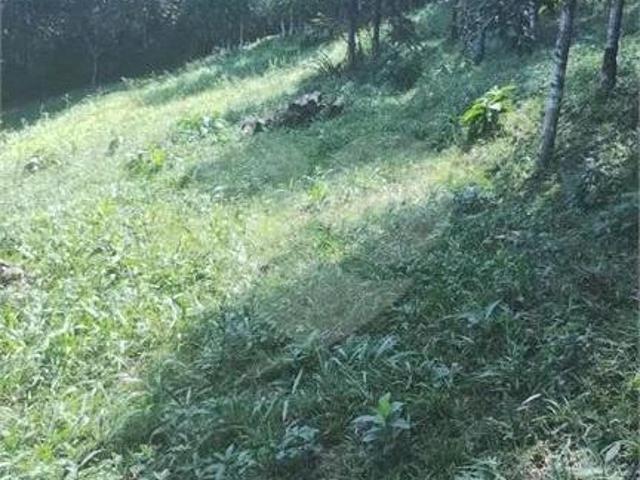 Sítio e chácara venda em Bocaiúva do Sul, Região Geográfica Intermediária de Curitiba
