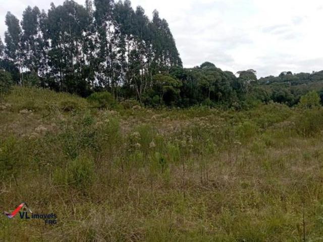 Sítio e chácara venda em Região Geográfica Imediata de Curitiba, Região Metropolitana de Curitiba