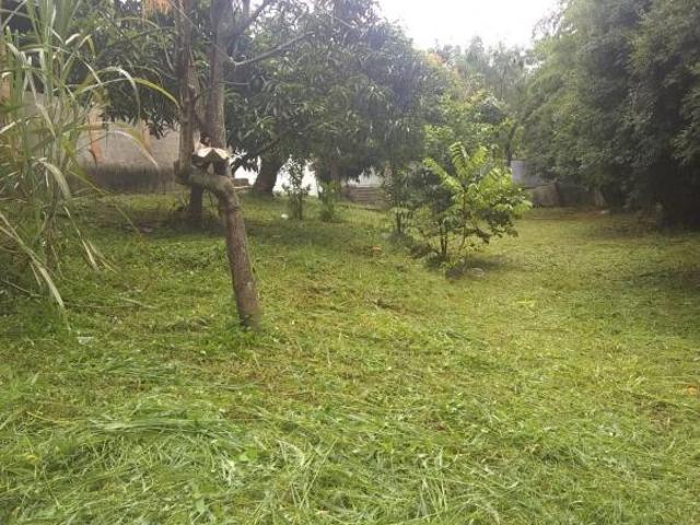 Sítio e chácara venda em Região Imediata de Piracicaba, Região Metropolitana de Piracicaba