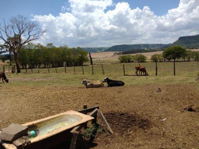 Sítio e chácara venda em Região Imediata de Jaú, Barra Bonita