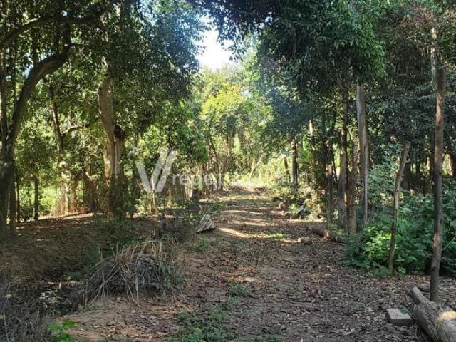 Sítio e chácara venda em Região Imediata de Campinas, Região Metropolitana de Campinas