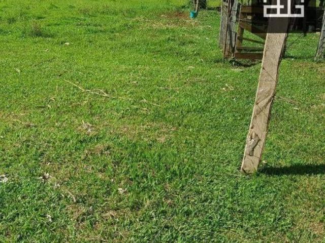 Sítio e chácara venda em Região Geográfica Imediata de Cascavel, Boa Vista da Aparecida