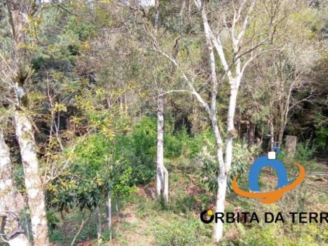 Sítio e chácara venda em Região Geográfica Imediata de Curitiba, Região Metropolitana de Curitiba