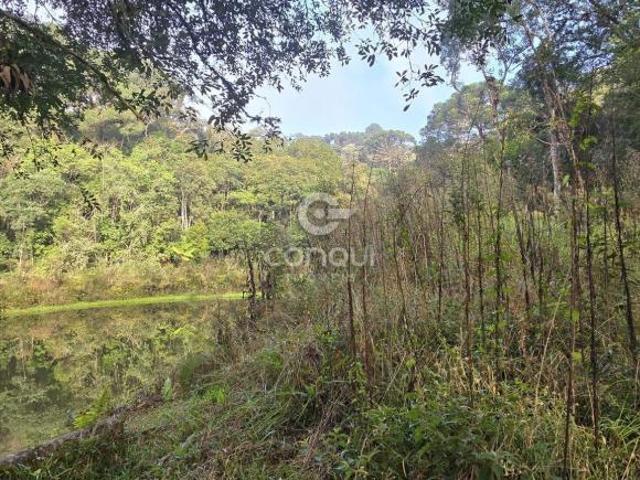 Sítio e chácara venda em Região Geográfica Imediata de Curitiba, Região Metropolitana de Curitiba