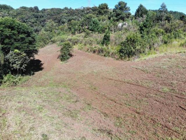 Sitio venda em Campo Magro