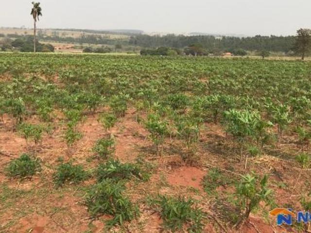 Sítio e chácara venda em Terra Boa, Região Geográfica Intermediária de Maringá