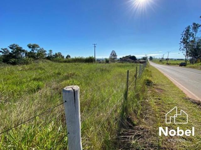 Sítio e chácara venda em Região Geográfica Imediata de Cianorte, Cianorte