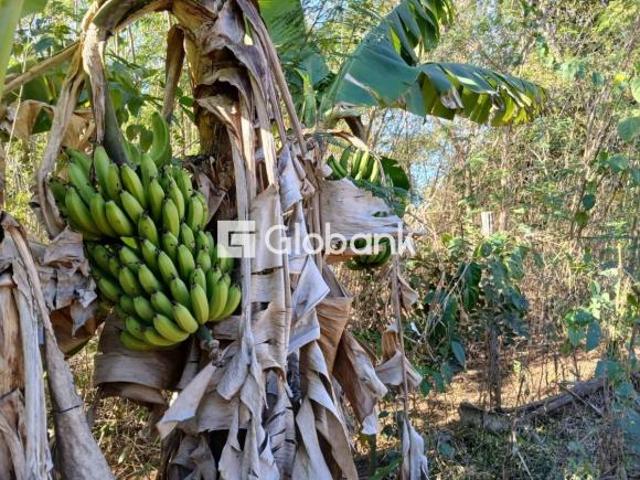 Sítio e chácara venda em Montes Claros, Região Geográfica Intermediária de Montes Claros