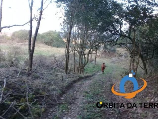 Terreno venda em Região Geográfica Imediata de Curitiba, Região Metropolitana de Curitiba