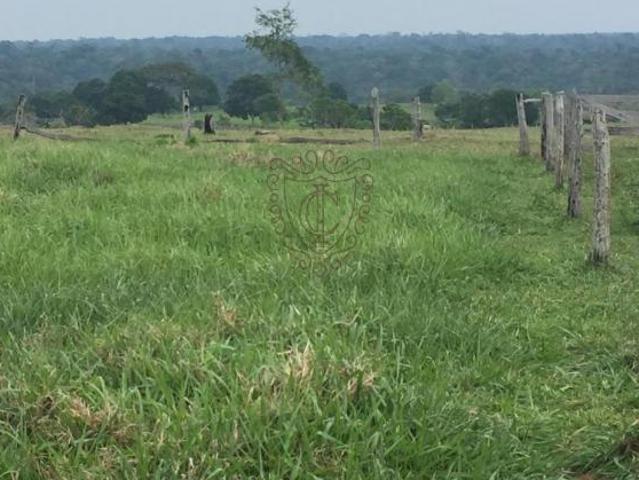 Sítio e chácara venda em Região Geográfica Imediata de Tangará da Serra, Sapezal