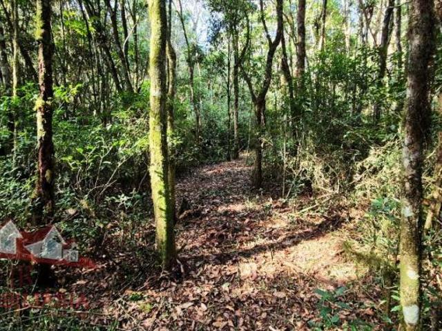 Sítio e chácara venda em São José dos Pinhais, Região Geográfica Intermediária de Curitiba