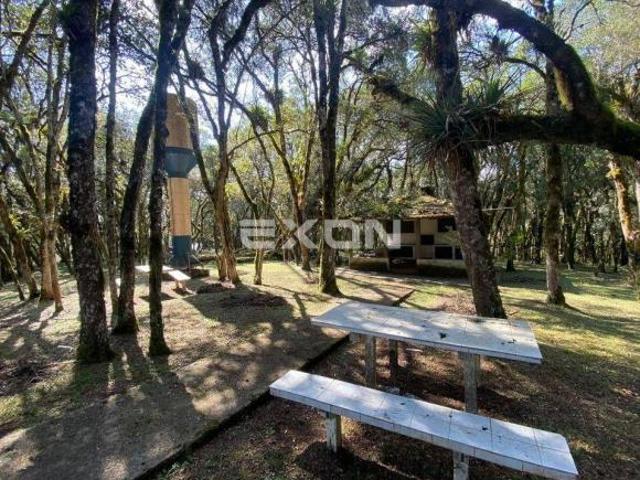 Sítio e chácara venda em Região Geográfica Imediata de Curitiba, Região Metropolitana de Curitiba