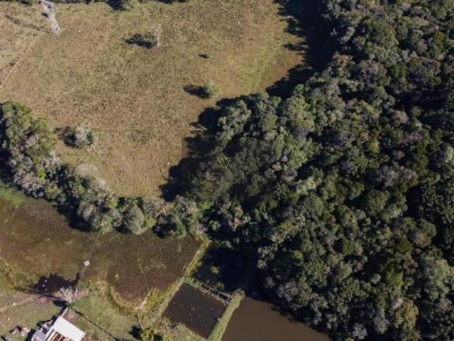 Sítio e chácara venda em Região Geográfica Imediata de Curitiba, Região Metropolitana de Curitiba