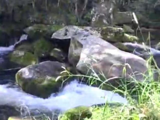Sítio e chácara venda em Região Imediata de Guaratinguetá, Região Metropolitana do Vale do Paraíba e Litoral Norte