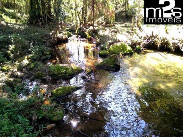 Sítio e chácara venda em Região Geográfica Imediata de Angra dos Reis, Paraty