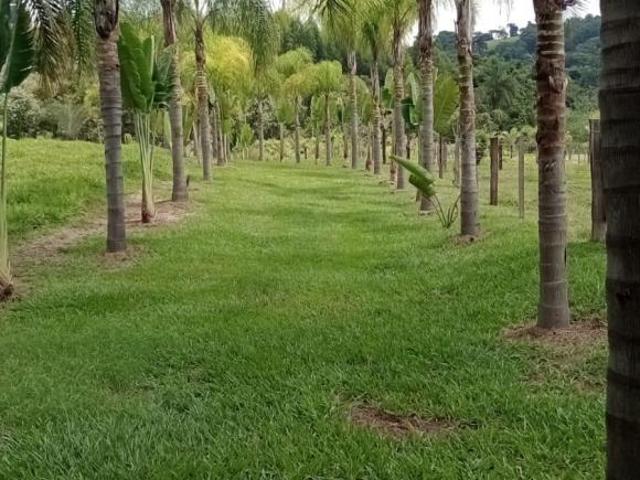 Sítio e chácara venda em Região Imediata de Limeira, Região Metropolitana de Campinas