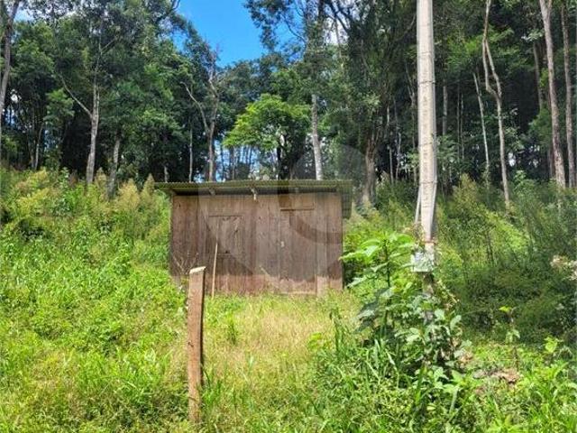 Sítio e chácara venda em Região Geográfica Imediata de Curitiba, Região Metropolitana de Curitiba