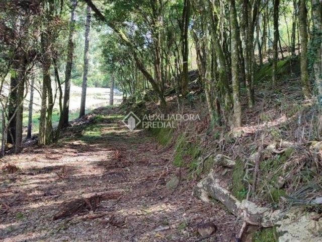 Sítio e chácara venda em Região Geográfica Imediata de Caxias do Sul, Caxias do Sul