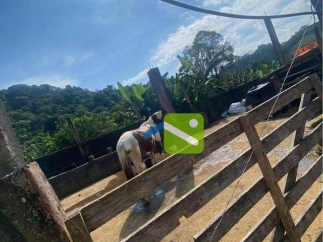 Sítio e chácara venda em Região Imediata de Sorocaba, Região Metropolitana de Sorocaba