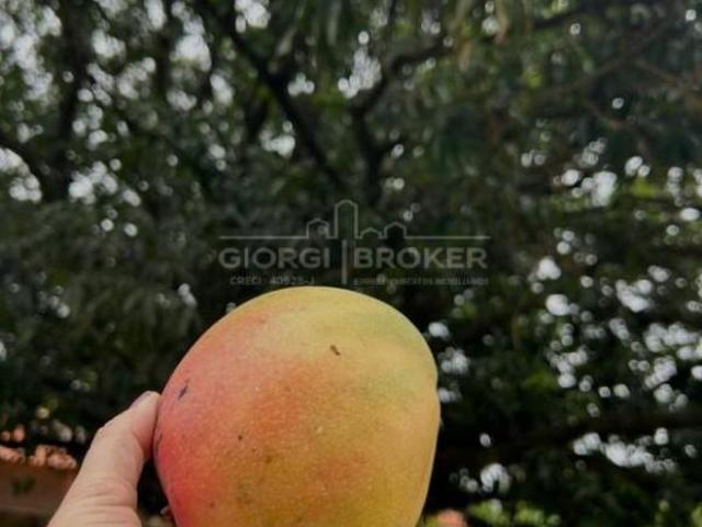 Sítio e chácara venda em Região Imediata de São José do Rio Preto, Região Metropolitana de São José do Rio Preto