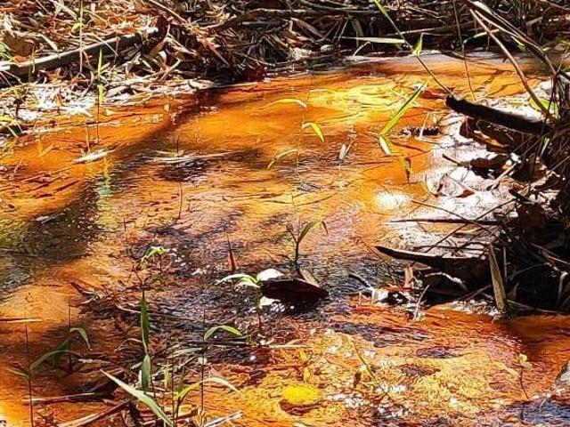 Sítio e chácara venda em Região Imediata de Itapetininga, Angatuba