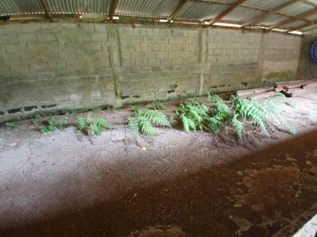Sítio e chácara venda em Região Imediata de Santos, Região Metropolitana da Baixada Santista