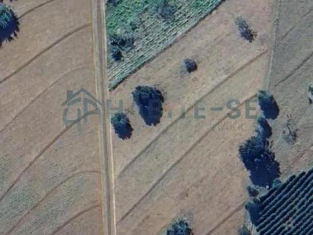 Sítio e chácara venda em Região Imediata de Franca, Itirapuã