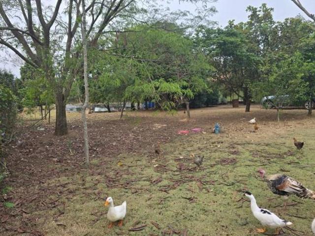 Sítio e chácara venda em Região Imediata de Sorocaba, Região Metropolitana de Sorocaba
