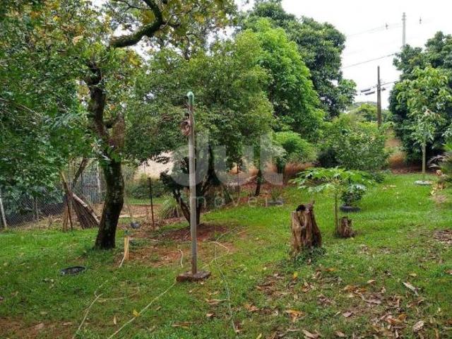 Sítio e chácara venda em Região Imediata de Campinas, Região Metropolitana de Campinas