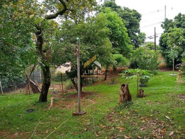 Sítio e chácara venda em Região Imediata de Campinas, Região Metropolitana de Campinas