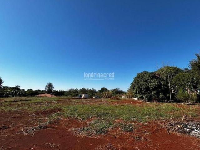Sítio e chácara venda em Região Geográfica Imediata de Londrina, Ibiporã