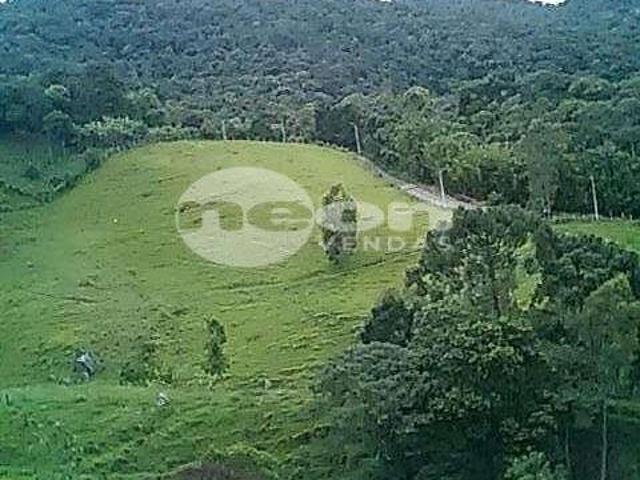 Sítio e chácara venda em Região Geográfica Imediata de Goiás - Itapuranga, Nova Crixás