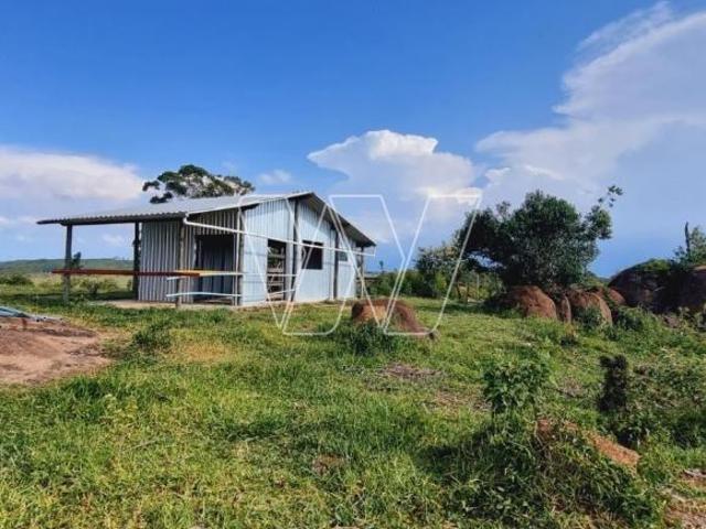 Sítio e chácara venda em Região Imediata de Campinas, Região Metropolitana de Campinas