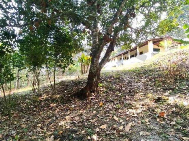 Sítio e chácara venda em Região Imediata de São Paulo, Região Metropolitana de São Paulo