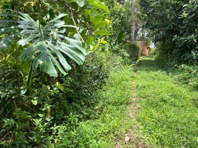 Sítio e chácara venda em Região Imediata de São Paulo, Região Metropolitana de São Paulo