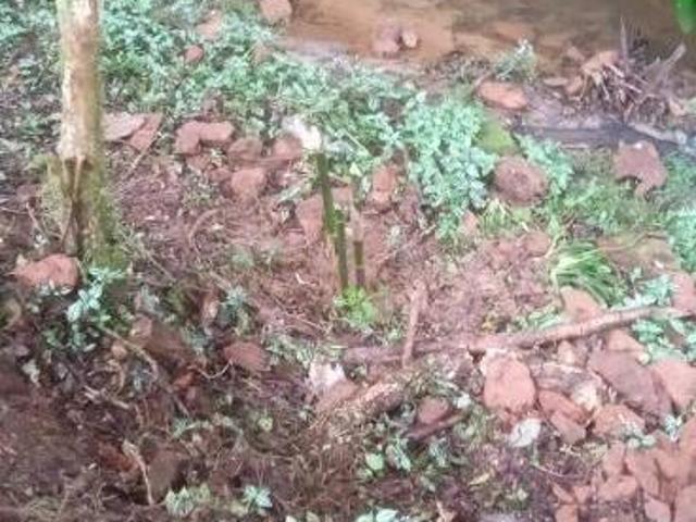 Sítio e chácara venda em Região Imediata de São Paulo, Região Metropolitana de São Paulo