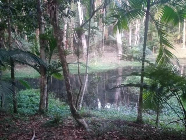 Sítio e chácara venda em Juquitiba