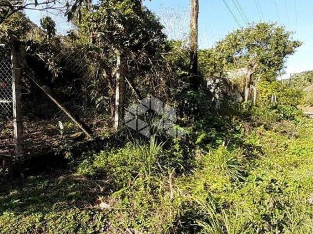 Sítio e chácara venda em Região Geográfica Imediata de Bento Gonçalves, Bento Gonçalves
