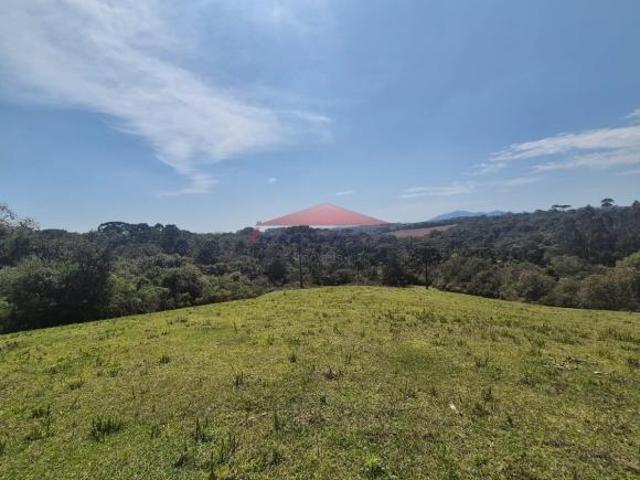 Sítio e chácara venda em Região Geográfica Imediata de Curitiba, Região Metropolitana de Curitiba