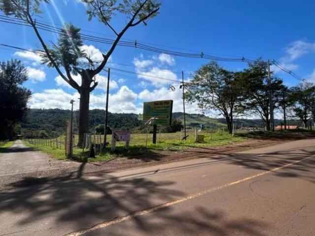 Sítio e chácara venda em Região Geográfica Imediata de Londrina, Londrina
