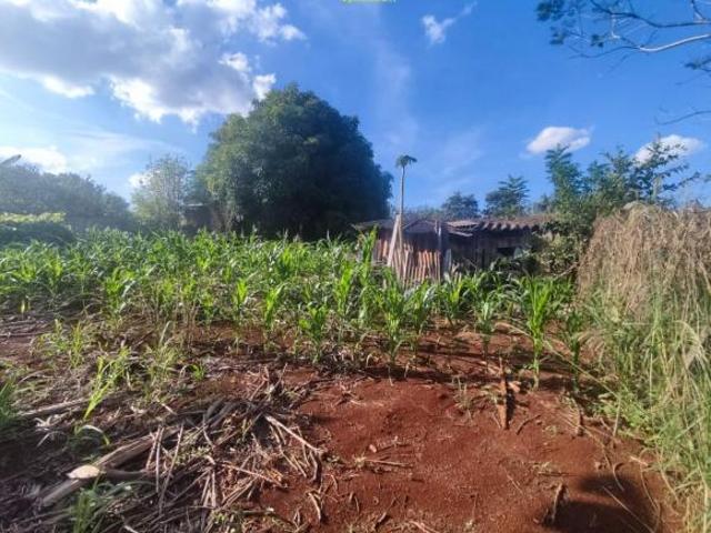Sítio e chácara venda em Região Geográfica Imediata de Londrina, Londrina