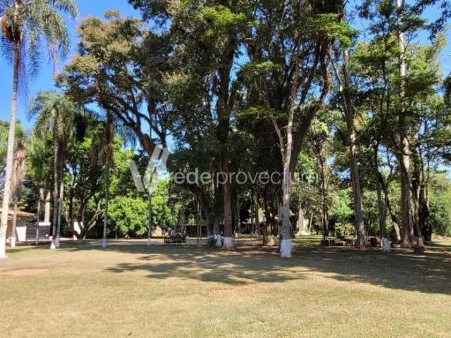 Sítio e chácara venda em Região Imediata de Campinas, Região Metropolitana de Campinas