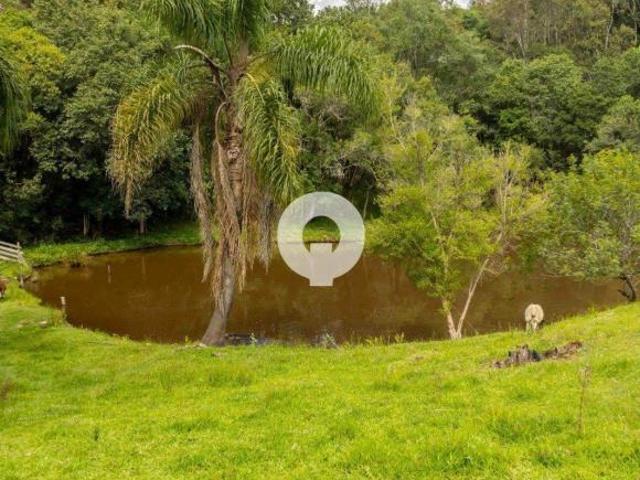 Sítio e chácara venda em Região Geográfica Imediata de Governador Valadares, Governador Valadares
