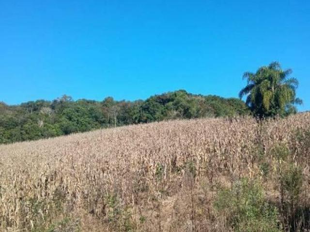 Sítio e chácara venda em Região Geográfica Imediata de Curitiba, Região Metropolitana de Curitiba