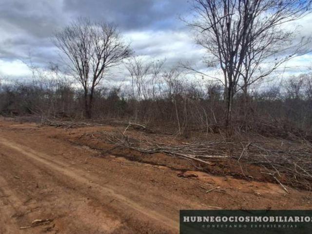 Sítio e chácara venda em Região Geográfica Imediata de Montes Claros, Montes Claros