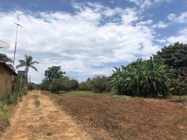 Sítio e chácara venda em Região Geográfica Imediata de Londrina, Londrina