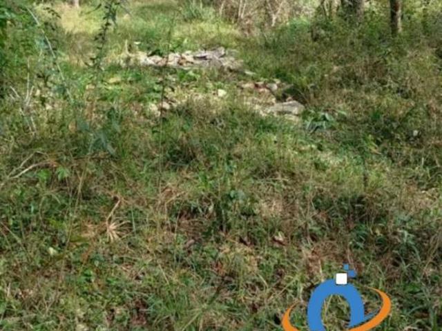 Sítio e chácara venda em Região Geográfica Imediata de Curitiba, Região Metropolitana de Curitiba
