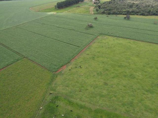 Sítio e chácara venda em Região Geográfica Imediata de Piracanjuba, Piracanjuba