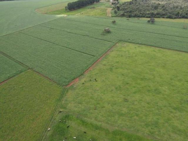 Sítio e chácara venda em Região Geográfica Imediata de Piracanjuba, Piracanjuba